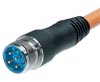 Power - Molded - Straight Connector - Male Thread