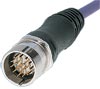Signal - Molded - Straight Connector - Male Thread