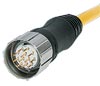 Signal - Molded - Straight Connector - Female Thread
