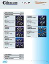 Catalog Product Index - Link Page
