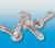 Cover Screws