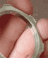 "BE"-Locking Nuts with cutting edges