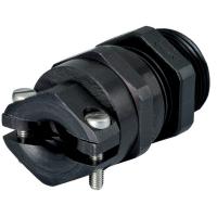 CD09AA-CP