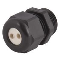 CD22M6-BK