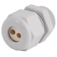 CD22M6-GY