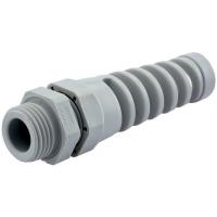CF25M2-GY